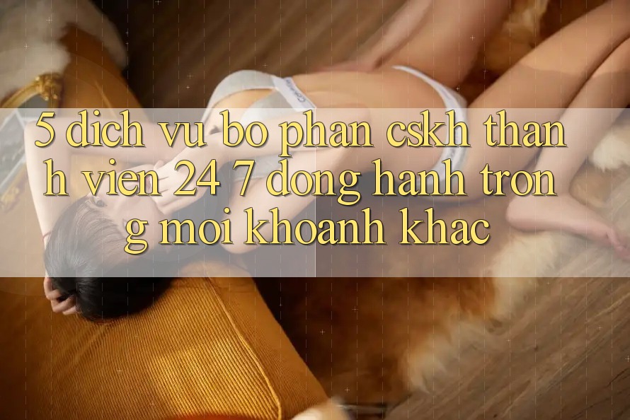 5. Dịch Vụ Bộ phận CSKH Thành viên 24/7: Đồng Hành Trong Mọi Khoảnh Khắc 5. Dịch Vụ Bộ phận CSKH Thành viên 24/7: Đồng Hành Trong Mọi Khoảnh Khắc