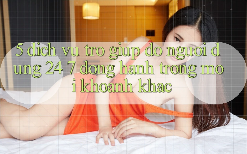 5. Dịch Vụ Trợ giúp đỡ Người dùng 24/7: Đồng Hành Trong Mọi Khoảnh Khắc