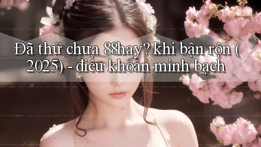 Đã thử chưa 88hay khi bận rộn (2025)   điều khoản minh bạch
