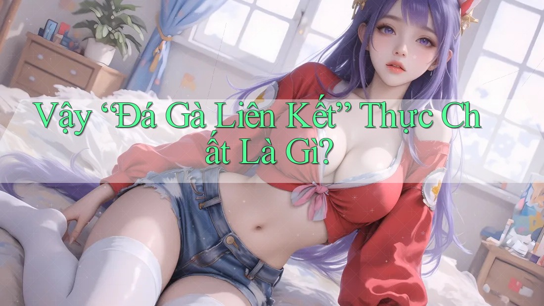 Vậy “Đá Gà Liên Kết” Thực Chất Là Gì?